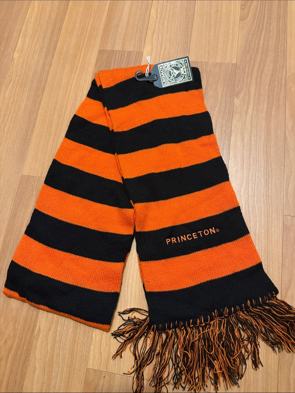 Princeton Orange and Black Striped Scarf with Fringe